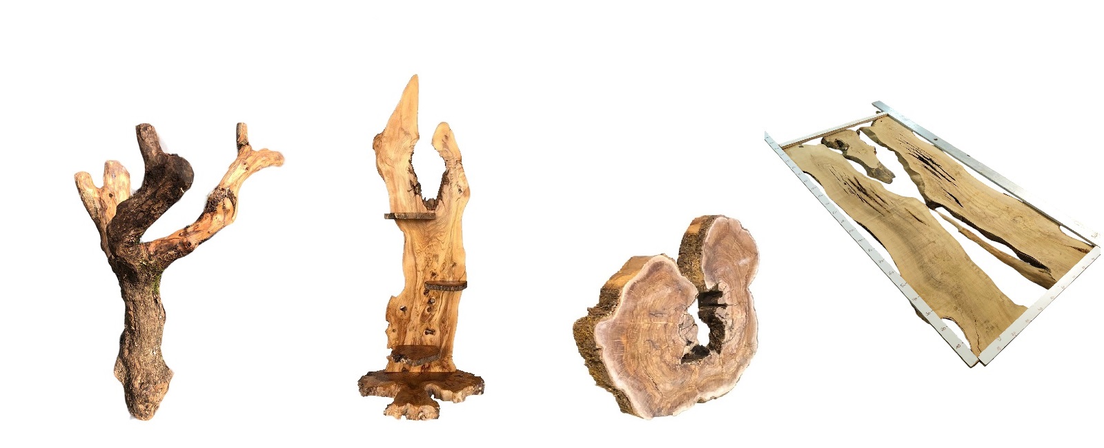 Premium Olivenholz Bohlen, Baumscheiben & ganze Stämme Olivenholzhandel Schaumlöffel